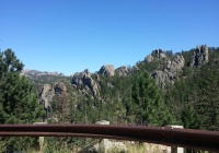 Black Hills Needles.jpg